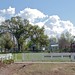 Henry Beck Photo 27