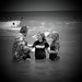 Michelle Pelletier Photo 19
