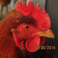 Angela Rhoads Photo 14