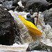 Shane Thompson Photo 17