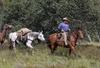 Judy Cochran Photo 13
