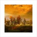 A Turner Photo 13