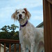 Karen Clayton Photo 23