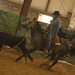 Larry Caine Photo 16