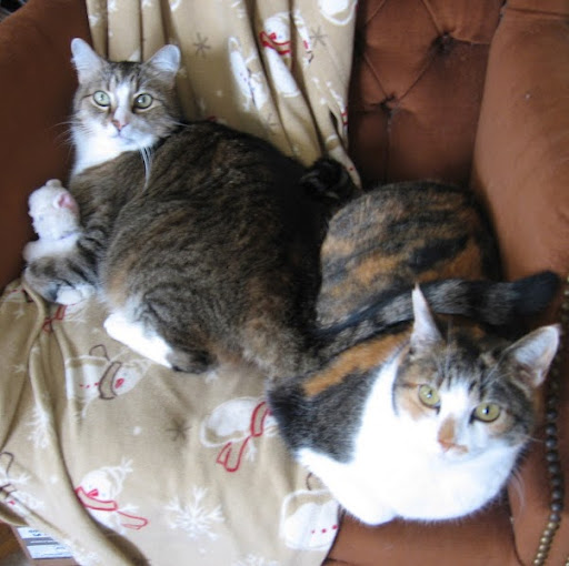 Colleen Dougherty Photo 27
