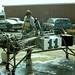 Duane Carter Photo 26