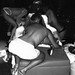 Steve Money Photo 18