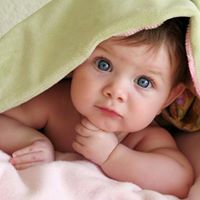 Surinder Saini Photo 22