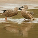 Patricia Forman Photo 10