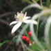 Misty Berry Photo 34