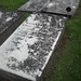 Richard Potts Photo 43