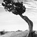 Joshua Masters Photo 37