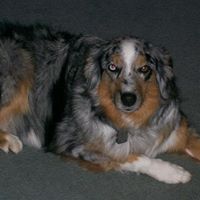 Kathleen Mcclintock Photo 9