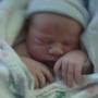 Sean Tripp Photo 17