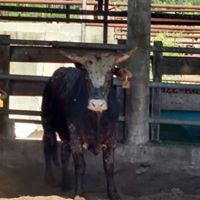 Travis Higginbotham Photo 9