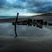 Phillip King Photo 30