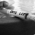 David Hass Photo 16