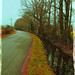James Denham Photo 21