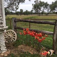 Debbie Tully Photo 12