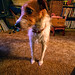 Russell Larson Photo 22