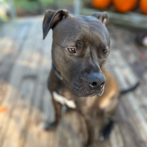 Thomas Richey Photo 37