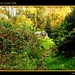 Dell Stone Photo 11