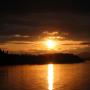 Patricia Kling Photo 12