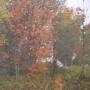 Cindy Henderson Photo 31