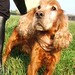 Ralph Sia Photo 7