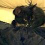 Billy Rowe Photo 22