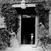 Margaret Janes Photo 10