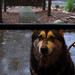 Rodney Rains Photo 12