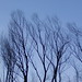 Scott Matheson Photo 28