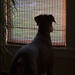 Levi Wait Photo 7