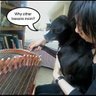 Alice Tong Photo 4