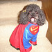 Sherry Lacey Photo 12