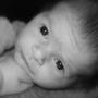 Suzanne Berger Photo 15