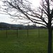 Kimberly Wales Photo 15