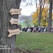 Stephanie Hughes Photo 37