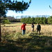Cathy Reynolds Photo 16