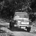 Ravi Sharma Photo 51