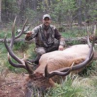 William Gustafson Photo 47