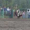 Ryan Phillips Photo 46