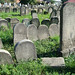 Joshua Stern Photo 19