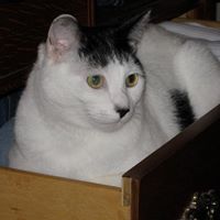 Elizabeth Nielson Photo 9