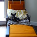 Deborah Friend Photo 27