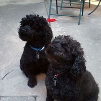 Nancy Barta Photo 9