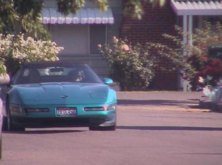 Kathy Day Photo 30