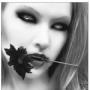 Lisa Knotts Photo 16