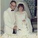 Judy Livingston Photo 13